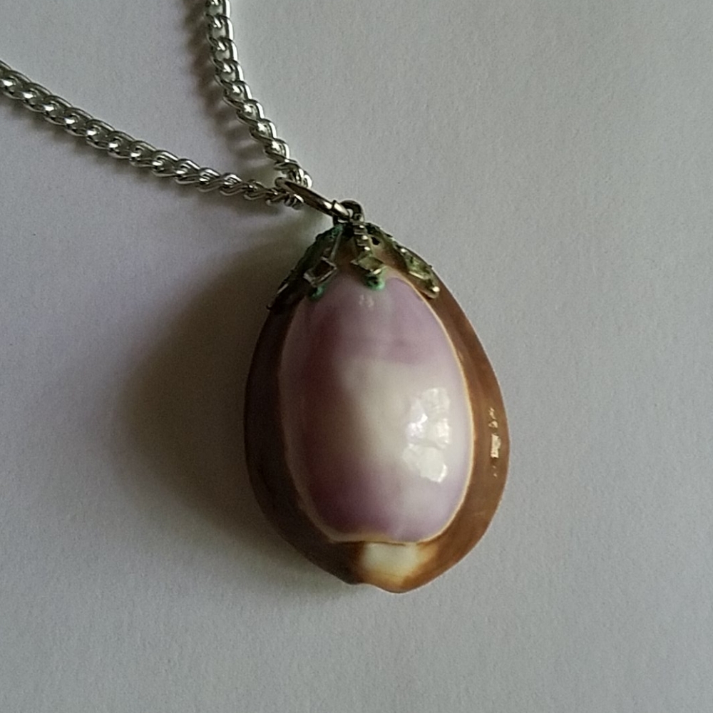 Seashell  necklace